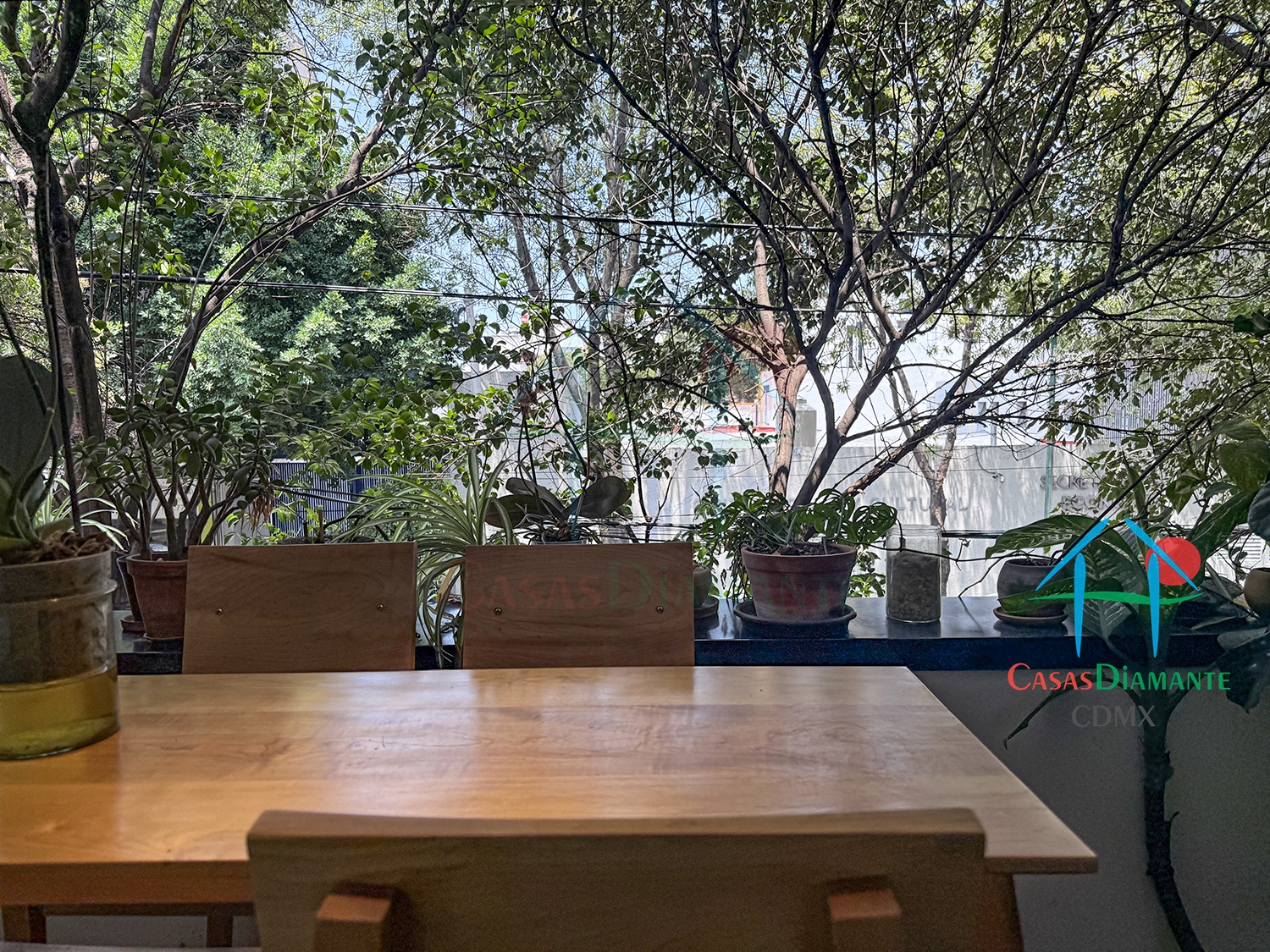 Roma Norte Departamento Orquídea - Terraza planta alta 3 Roma Norte Departamento Orquídea - Terraza planta alta 3